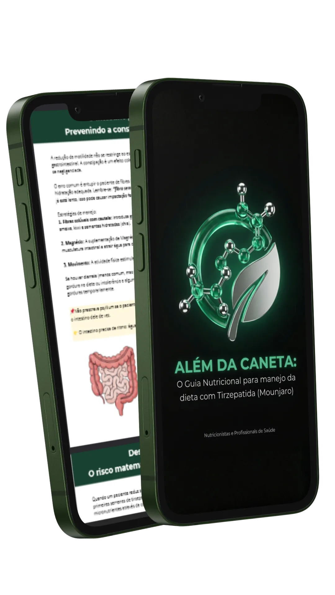 Além da Caneta — Guia Tirzepatida
