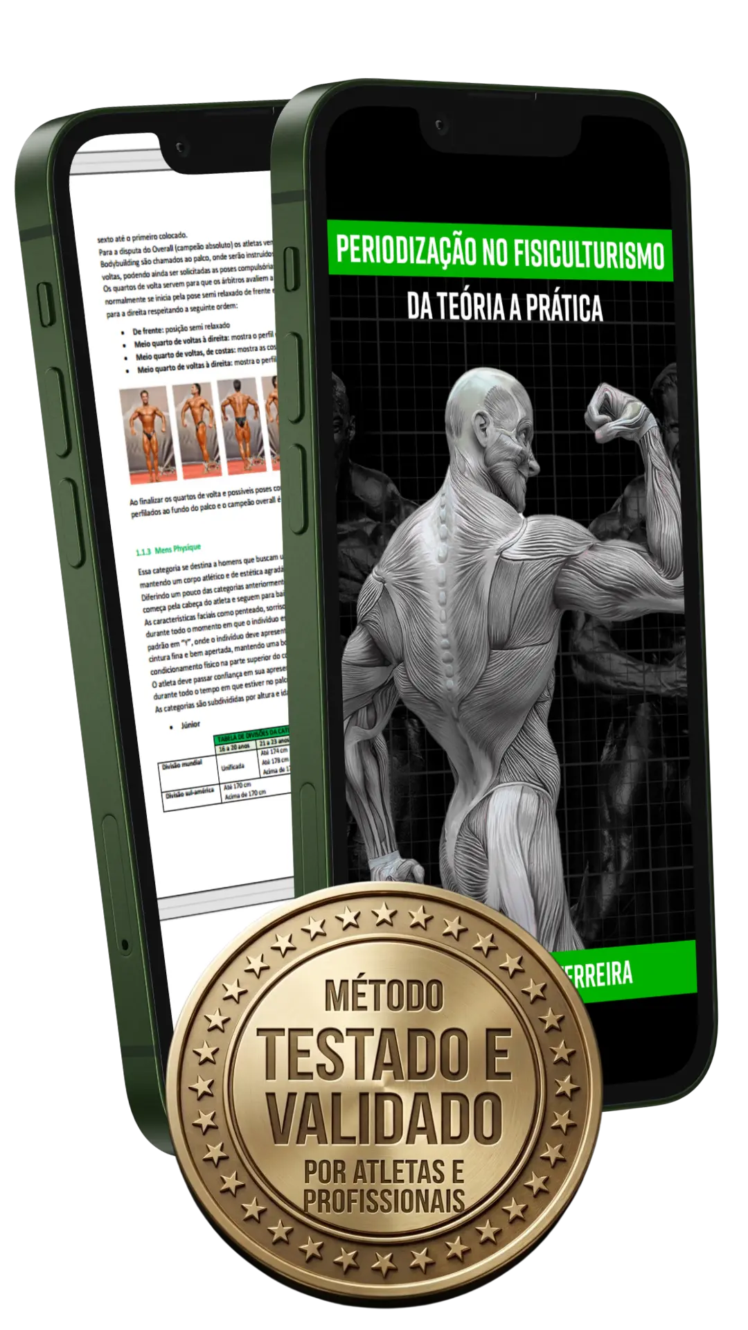 E-book Periodização